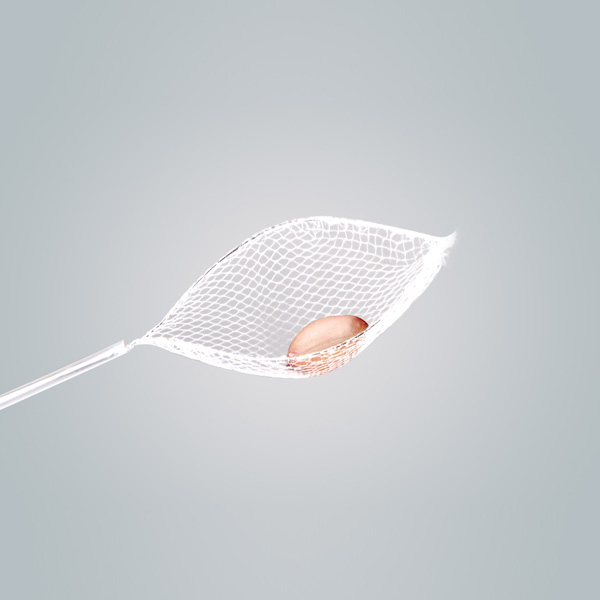Disposable Grasping Forceps Net